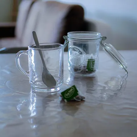 Le Laurier - Cosi - Wifi - Parking - Balcon Διαμέρισμα Saint-Orens-de-Gameville