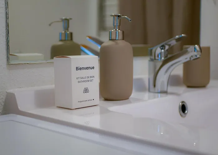 Apartman Le Laurier - Cosi - Wifi - Parking - Balcon Saint-Orens-de-Gameville